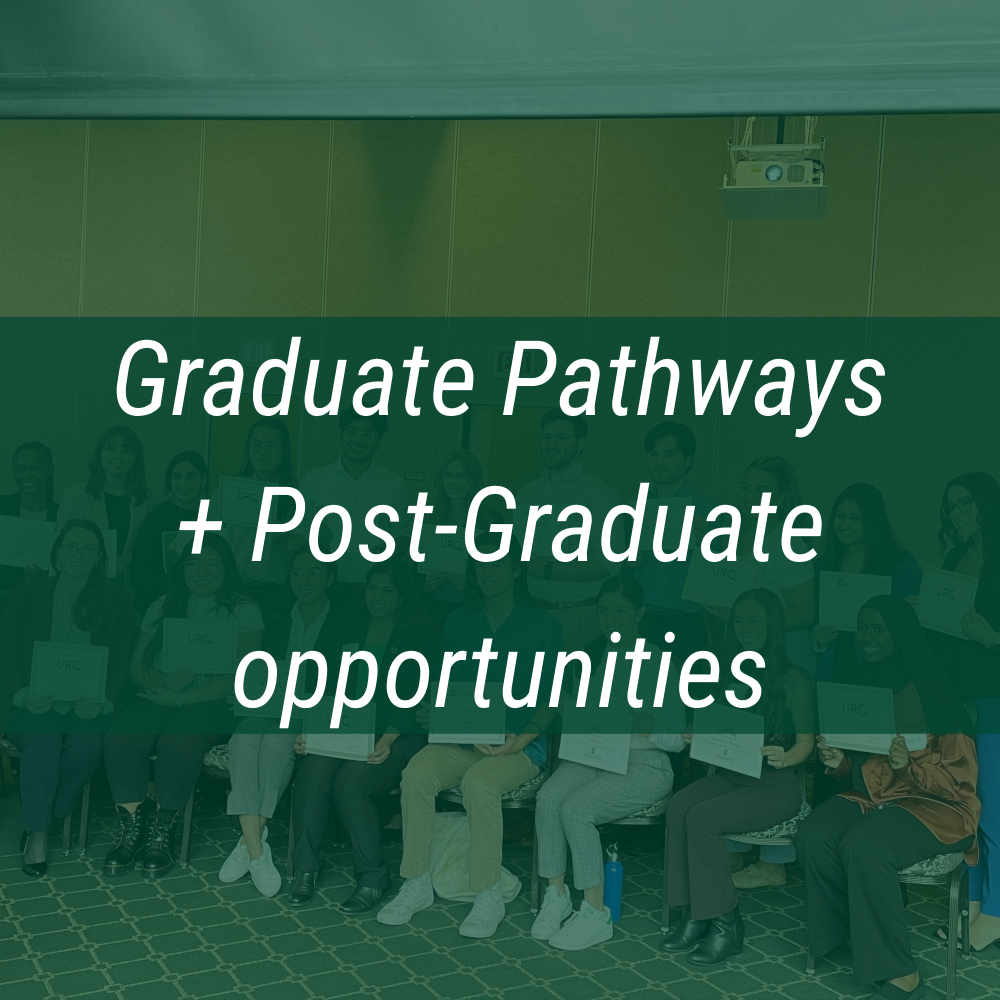 Information on graduate pathways and post-graduate opportunities